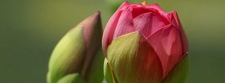 There is not nearly enough details on exactly how Vermox may influence a coming or a nursing baby, which is why you ought to speak to your doctor ahead of time if you are expectant or breastfeeding.