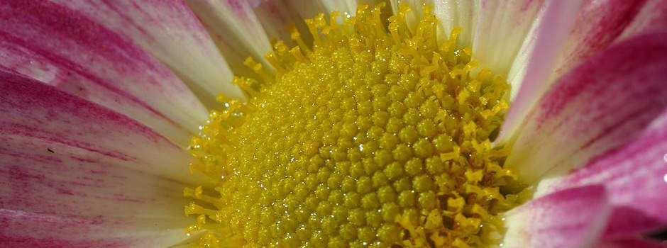 If you are pregnant or breastfeeding see to it your healthcare service provider knows that you are taking Vermox.